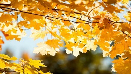 Свежие новости: Николаевцев ждет теплая суббота перед похолоданием