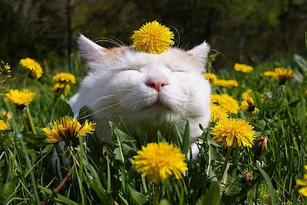 Свежие новости: В апреле и мае у украинцев будет 21 выходной день