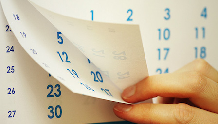 Свежие новости: 