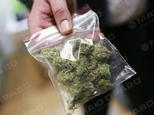 Свежие новости: В Николаеве полиция изъяла наркотиков на 100 тысяч гривен