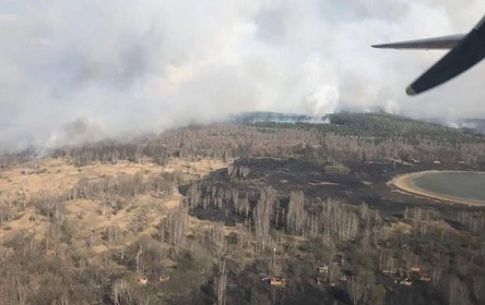 Свежие новости: В зоне отчуждения ЧАЭС назвали очаги пожаров