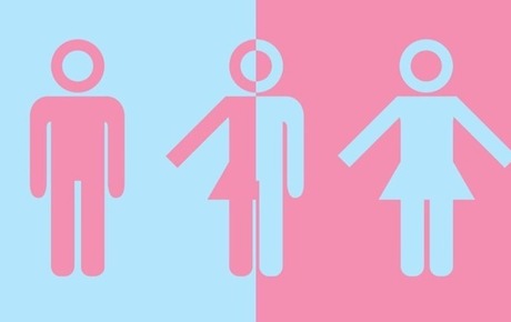 Свежие новости: В Нидерландах впервые выдали паспорт с нейтральным полом