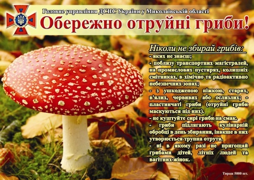 Свежие новости: Рятувальники застерігають: будьте обережними під час збору та вживання дикорослих грибів