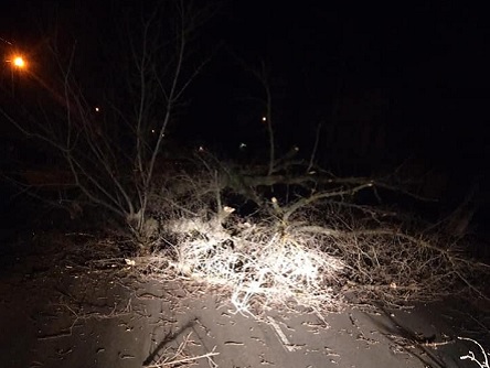 Свежие новости: ФОТО:  У Вознесенську негода знеструмила вулиці та повалила дерева