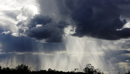 Свежие новости: По всей Украине объявили штормовое предупреждение