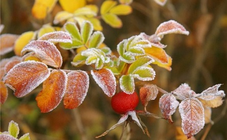 Свежие новости: Без осадков и до -3º: погода в Николаеве 6 января