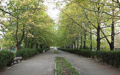 Свежие новости: В Николаеве займутся спасением парков