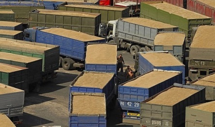 Свежие новости: Перевозчики отказываются возить зерно с перегрузкой