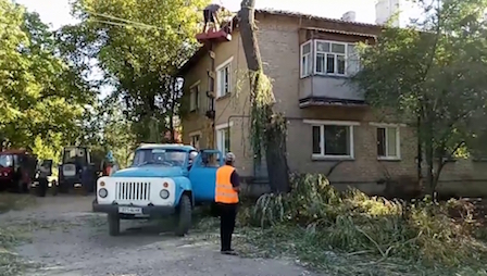 Свежие новости: ВИДЕО: У Новому Бузі продовжується прибирання аварійних дерев