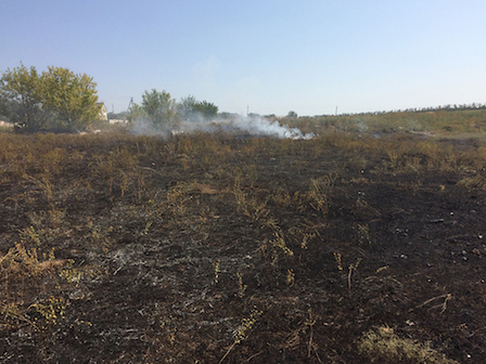 Свежие новости: За добу на Миколаївщині зареєстровано 17 пожеж сухої трави та сміття на відкритих територіях