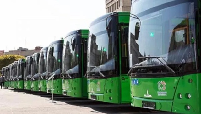 Свежие новости: У Миколаєві пропонують пільги на транспорт для сімей загиблих захисників