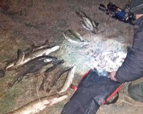 Свежие новости: Рыбинспекция поймала браконьера-подводника на Александровской ГЭС с большим уловом