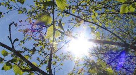 Свежие новости: Синоптик рассказала, когда в Украине потеплеет