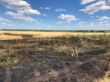 Свежие новости: В Вознесенском районе горят поля с урожаем