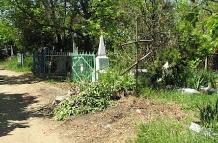 Свежие новости: В Запорожской области труп висел над могилой