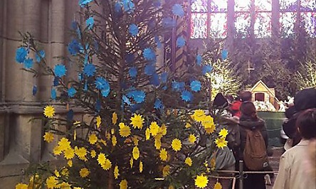 Свежие новости: В Чехии новогоднюю елку нарядили в цвета украинского флага