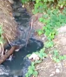 Свежие новости: В Николаеве снова стали сливать нечистоты прямо в реку