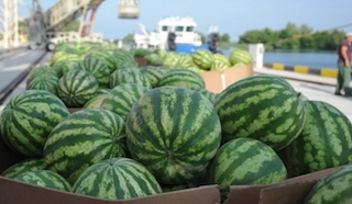 Свежие новости: Українці залишаться без херсонських кавунів через підрив Каховської ГЕС, — ЗМІ