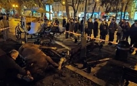 Свежие новости: Напуганные петардой лошади травмировали девушку во Львове