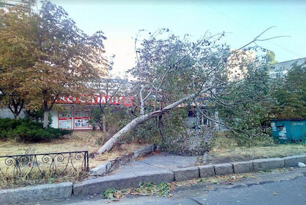 Свежие новости: Вчера на Николаев за 3 часа обрушилась треть месячных осадков: повалены деревья, отключено электроснабжение, повреждены крыши