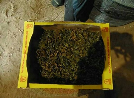 Свежие новости: Дело ранее судимого жителя Вознесенска, который для продажи хранил шесть килограммов каннабиса, передали в суд