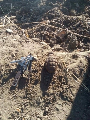 Свежие новости: В Парке Победы мужчина наткнулся на гранату Ф-1