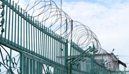 Свежие новости: Одесские и николаевские «террористы» останутся в СИЗО ещё на два месяца