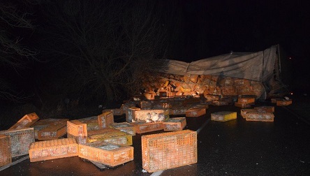 Свежие новости: ВИДЕО: Под Николаевом перевернулась фура с 6000 курей