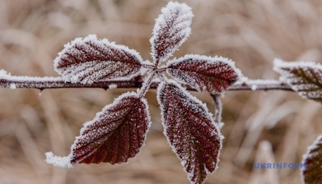 Свежие новости: Синоптики попереджають про морози та слизькі дороги на Миколаївщині