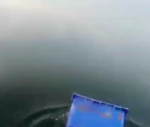 Свежие новости: Николаевские подростки выложили в сеть видео, на котором они бросают в бак с мусором