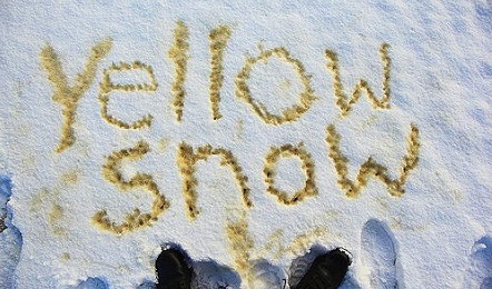 Свежие новости: ВИДЕО: Соцсети переполошились из-за желтого снега в Одесской и Николаевской областях