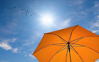 Свежие новости: На Миколаївщині в серпні через спекотну погоду побили п’ять температурних рекордів