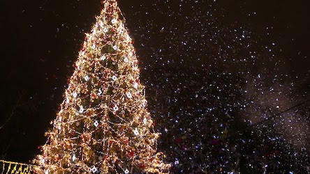 Свежие новости: ВІДЕО: 19 грудня миколаївців запрошують на відкриття ялинки