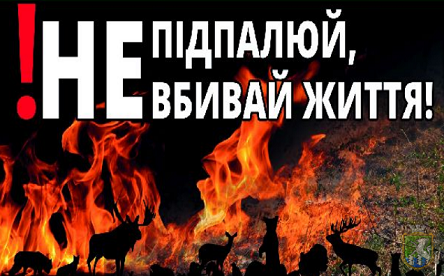 Свежие новости: Несанкціоноване спалювання опалого листя та залишків рослинності у м. Южноукраїнську