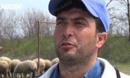 Свежие новости: ВИДЕО: В Азербайджане поющий пастух взорвал соцсети
