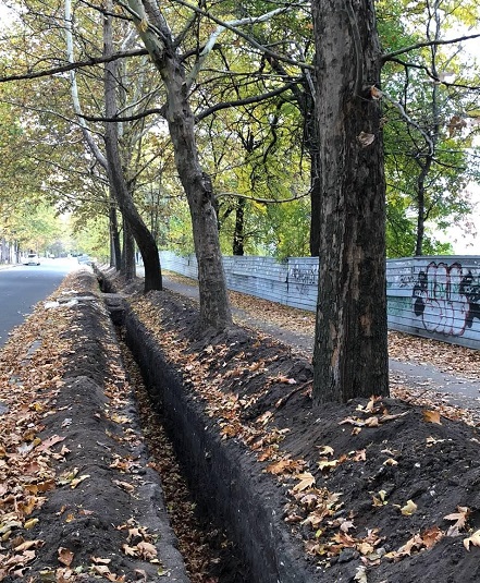 Свежие новости: Сенкевич просит тротуары, перекопанные облэнерго, восстановить в плитке, а не в асфальте