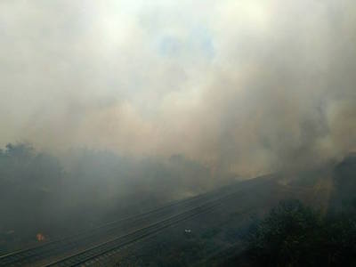 Свежие новости: На Николаевщине горит трава, кустарники и деревья