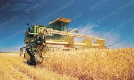 Свежие новости: Аграрии Николаевщины начнут сбор ранних зерновых на следующей неделе
