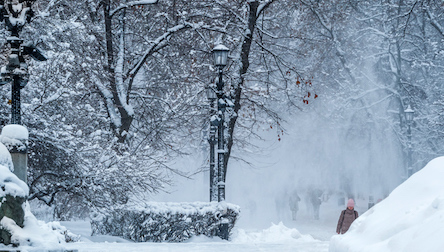 Свежие новости: В Европе снегопады унесли жизни 21 человека