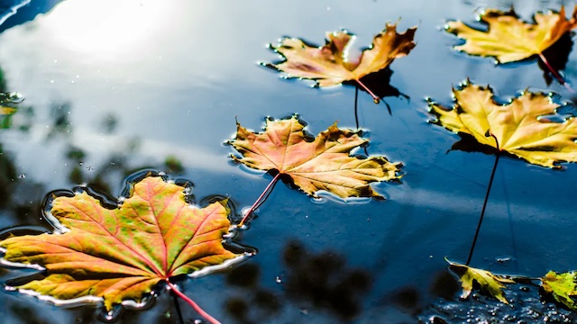 Свежие новости: Миколаївські синоптики дали прогноз погоди на вихідні