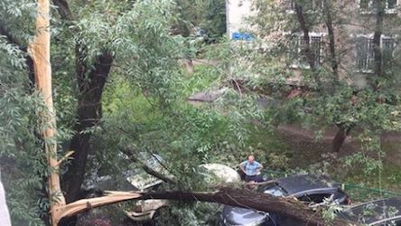 Свежие новости: В Москве свирепствует стихия: 15 пострадавших, десятки задержанных рейсов