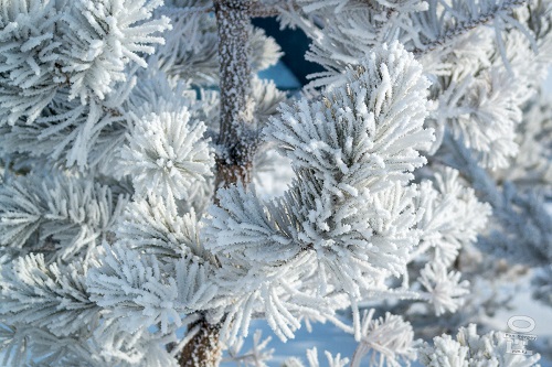 Свежие новости: Стало известно, когда в Украину вернутся морозы