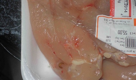 Свежие новости: На Николаевщине в школьной столовой нашли 10 кг просроченного куриного филе