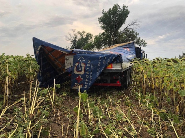 Свежие новости: Под Вознесенском грузовик слетел на поле подсолнечника