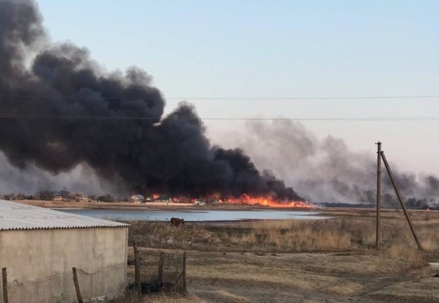 Свежие новости: На Кинбурнской косе масштабно горят леса