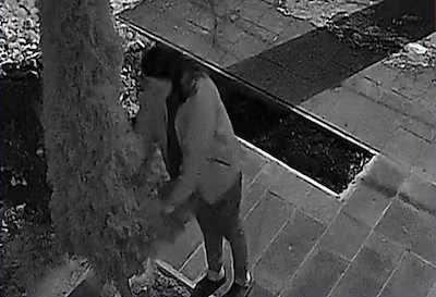 Свежие новости: В Николаеве женщина ночью обрезала ветки туи