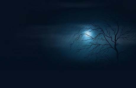 Свежие новости: Синоптик предупредила украинцев о холодной ночи и существенном потеплении на выходных