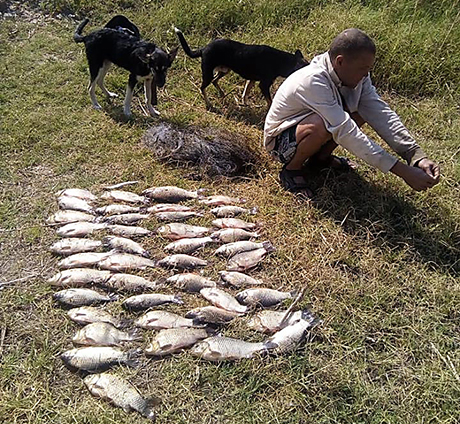 Свежие новости: На Николаевщине у браконьеров изъяли более 100 килограмм рыбы