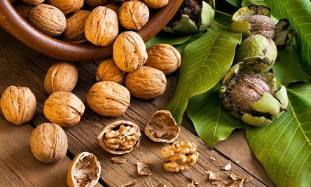 Свежие новости: Украина вышла на 6-е место в мире по объемам производства грецких орехов