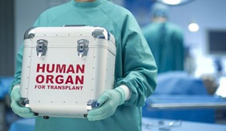 Свежие новости: Верховная Рада отложила новый закон о трансплантации до 2020 года
